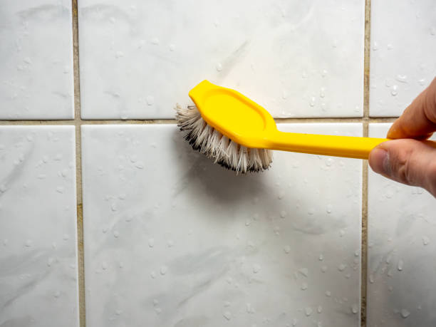 Best Mold Remediation  in Cresson, TX