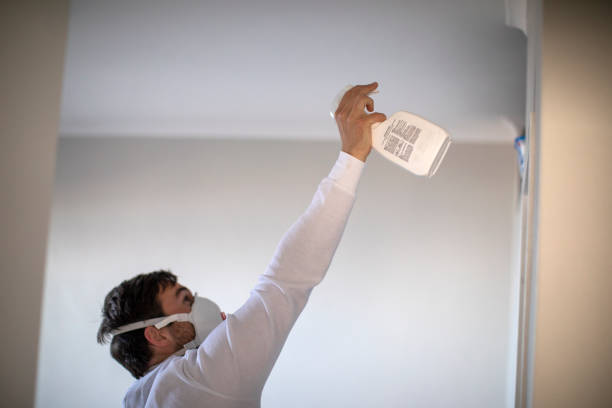 Best Water Damage Restoration  in Cresson, TX