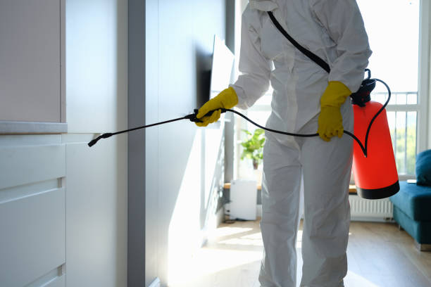 Best Crawl Space Mold Removal  in Cresson, TX