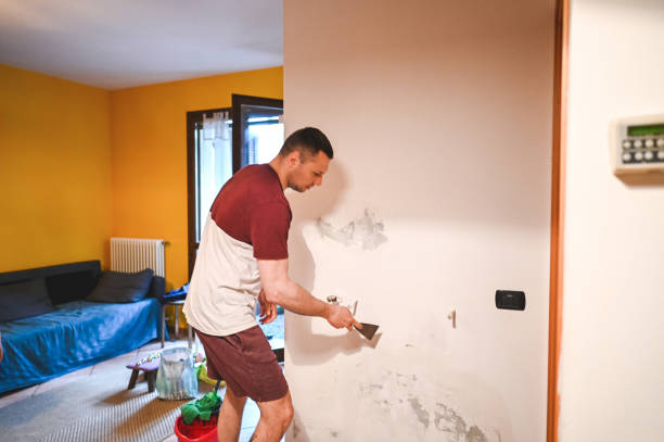 Best Mold Cleaning Services  in Cresson, TX