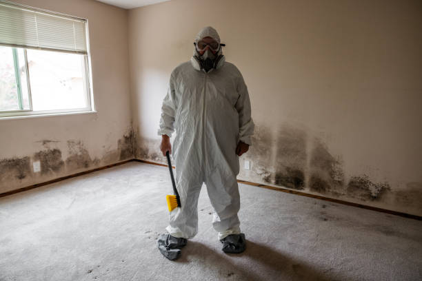 Best Mold Remediation Services  in Cresson, TX