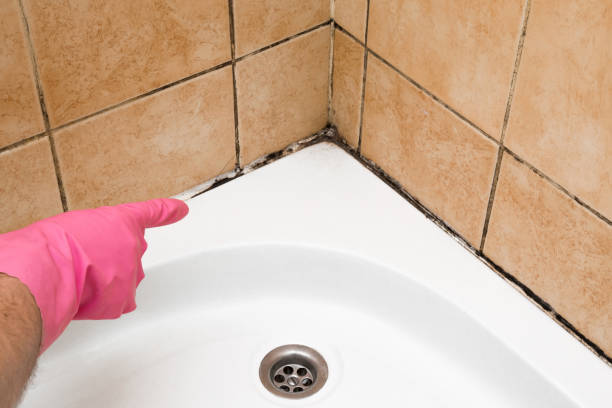 Best Residential Mold Removal  in Cresson, TX